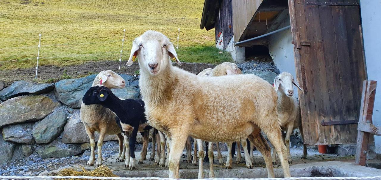 Hinterreithlehen - Ferienwohnung Am Bauernhof Mittersill Luaran gambar