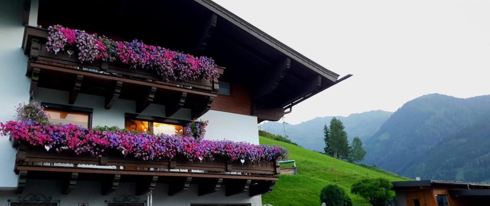 Hinterreithlehen - Ferienwohnung Am Bauernhof Mittersill Luaran gambar